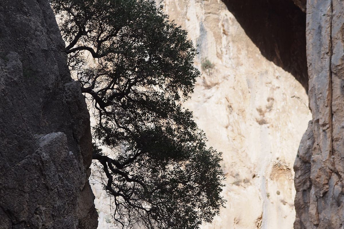 El Desfiladero de los Gaitanes, el cañón por el que discurre el Caminito del Rey