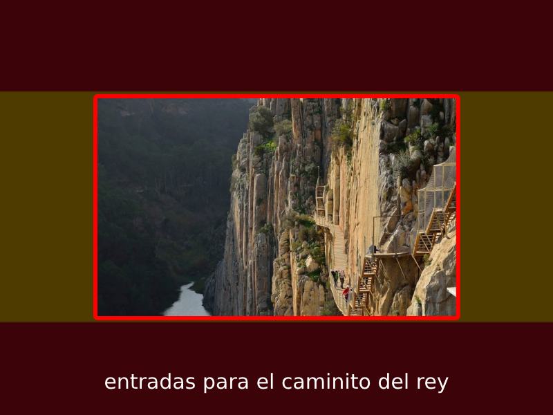 Tours y excursiones organizados