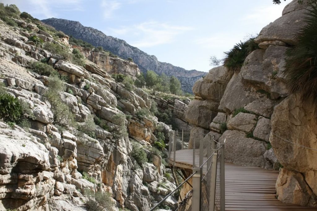 Perché è impossibile visitare senza biglietto