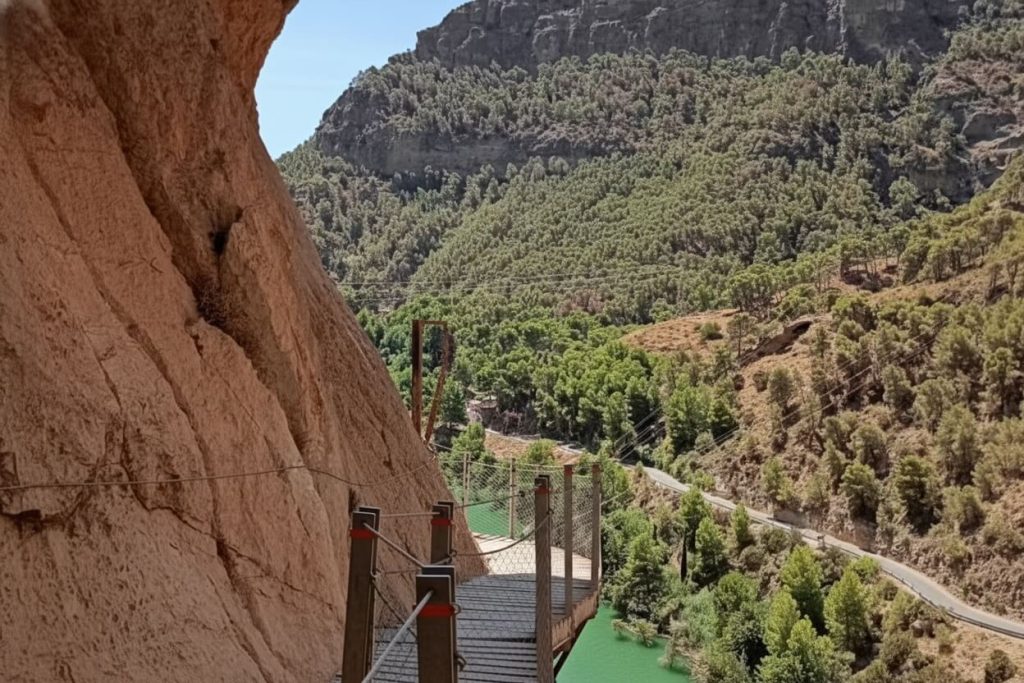 Tour organizzati con trasporto e guida