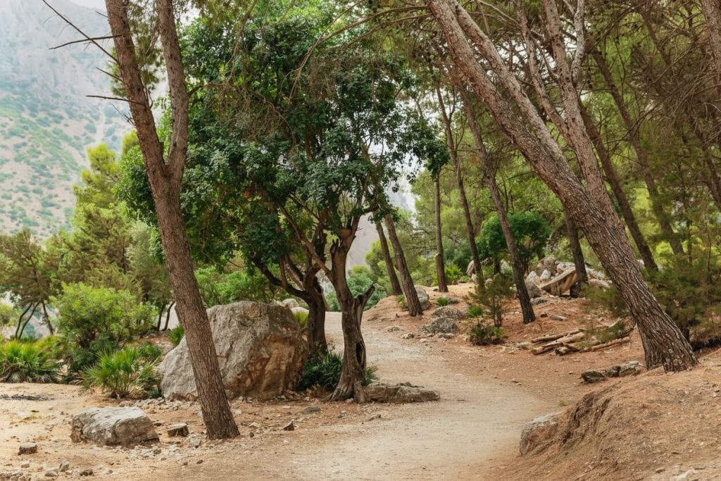 Wichtige Buchungstipps